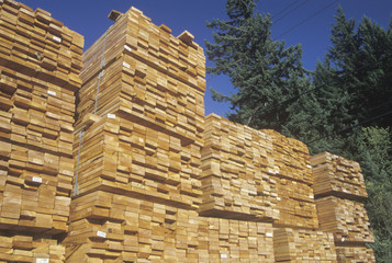 Cut lumber neatly stacked at a lumber yard in Willits, California