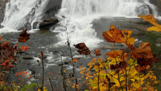Bottom of North Carolina Waterfall High Falls Dupont State Forest, Orange Leaves