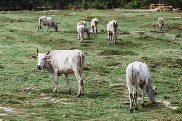 Obraz premium Закат в Тайланде