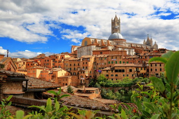 Obraz na płótnie Canvas View of Siena towards Siena Cathedral in Italy