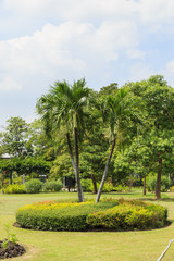 Chatuchak park in bangkok Thailand