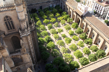 Séville (Espagne) - Cour des Orangers de la Cathédrale vue de La Giralda (ancien minaret)