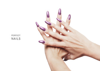 Perfect nails - beautiful nails painted with purple nail polish - Powered by Adobe