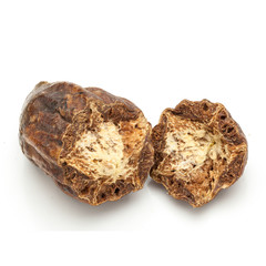 Macro closeup of a cracked Organic Inknut or Harr (Terminalia chebula) isolated on white background.