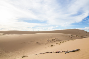 Landscape of White sand dune desert with blue sky cloud at Mui n