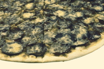Moldy pizza on white background
