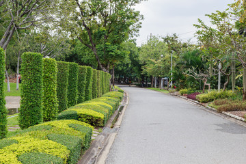 Chatuchak park in bangkok Thailand