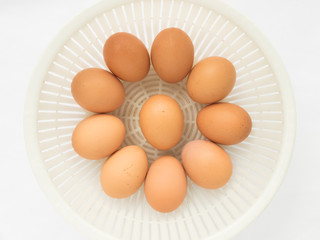 Fresh raw egg from organic farm in the plastic basket isolated o