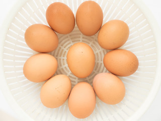Fresh raw egg from organic farm in the plastic basket isolated o