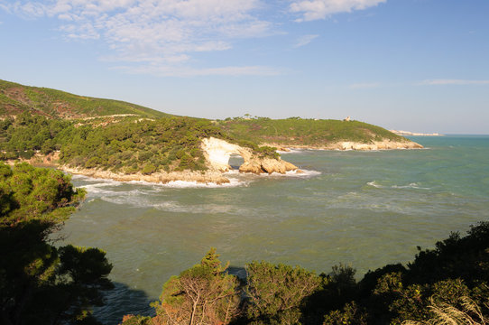Architello del Gargano