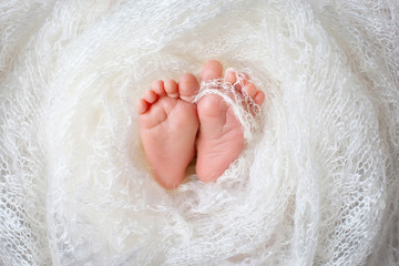 Fototapeta premium Close up picture of new born baby feet in knitted plaid