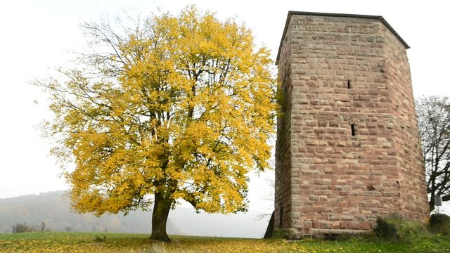 Die L&uuml;tzelburg in Lothringen, Frankreich
