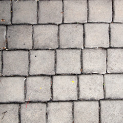 pavement Background of grey cobble stones
