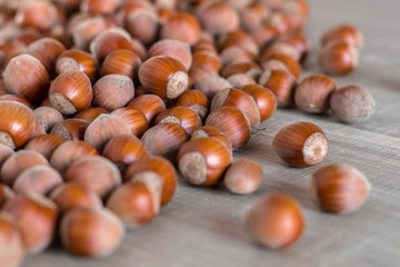 Hazelnuts