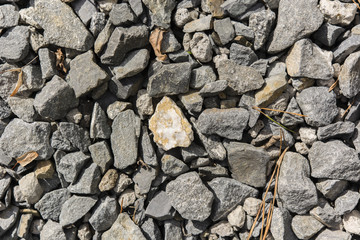 stone path with a rock in the middle