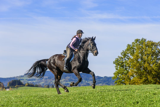 Reiter Rampin Reiterin Images – Browse 5,931 Stock Photos, Vectors, and Video | Adobe ...
