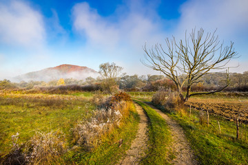 rural landscape with road to mountain through forest and agricultural meadow with fence and few  trees in late autumn foggy and frosty morning