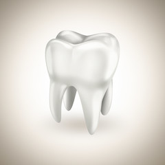 healthy white tooth