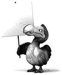 Dodo © Julien Tromeur