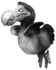 Dodo © Julien Tromeur