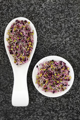 Mixed Sprouting Seeds. Alfalfa, broccoli and rambo radish sprouting seeds in porcelain scoop and bowl over marble background.