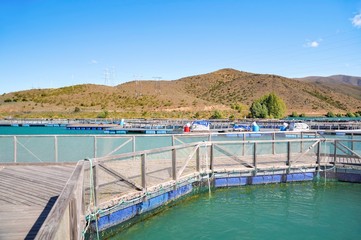 Salmon Fish farm floating on the glacial waters of Wairepo Arm, Twizel, South Island, New Zealand