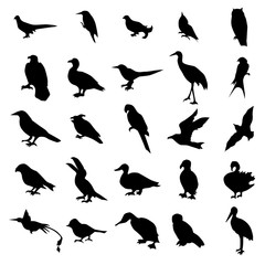 Birds silhouettes set