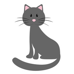 Cute kitten
