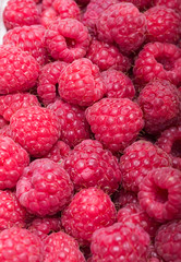 A beautiful selection of freshly picked ripe red raspberries.