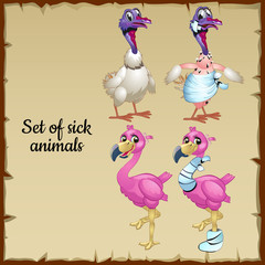Cartoon characters, sick and healthy Flamingo