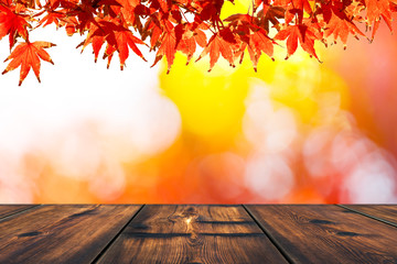 Naklejka na ściany i meble Autumn Scene Background