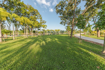 Public park with green grass
