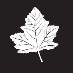 Vector silhouette leaf
