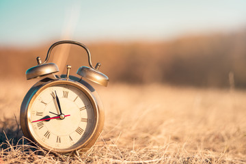Alarm clock in the garden