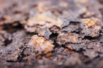 Rust closeup. Structure corrosion, texture