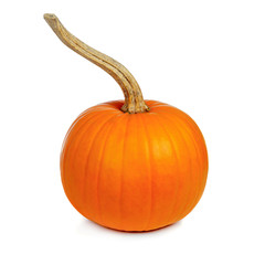 Pumpkin with long stem