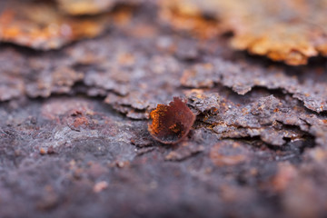 Rust closeup. Structure corrosion, texture