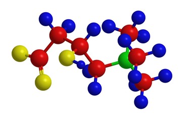 Molecular structure of carnitine