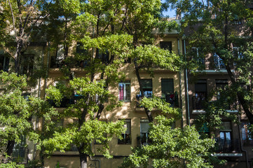 Obraz premium Trees and buildings sharing spaces in Madrid.