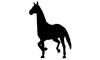 Horse silhouette