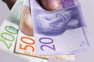 Swedish Currency Close up