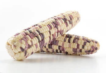 Fototapeta premium Waxy corn