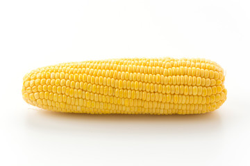 fresh corn