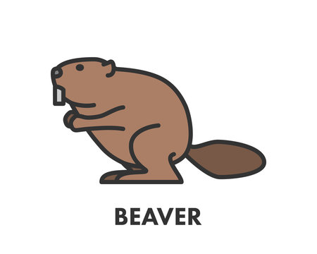 Painted line figure of beaver. Vector outline symbol