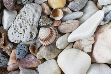 Sea Pebbles With Shells
