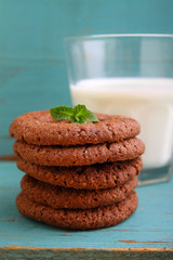 chocolate chip cookies, fir branch