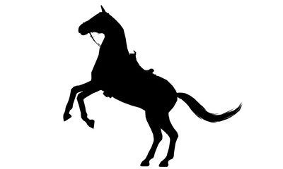 Fototapeta na wymiar Horse silhouette