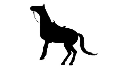 Horse silhouette