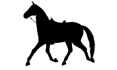 Horse silhouette