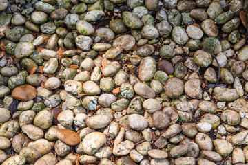Stone Background